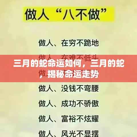 揭秘三月蛇的神秘命运走势