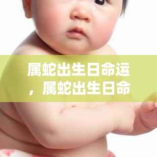 破衲疏羹 第5页