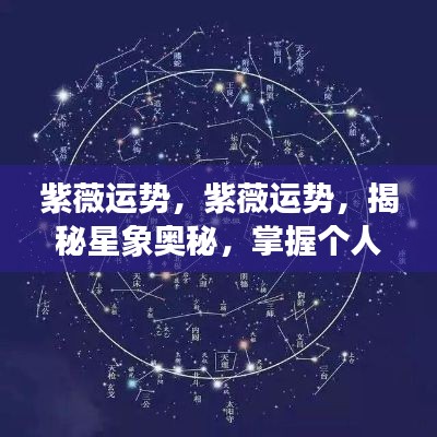 紫薇运势揭秘,掌握星象奥秘,洞悉个人命运走势