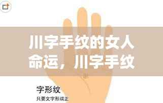 川字手纹女性命运解析,独特的手相揭示未来之路