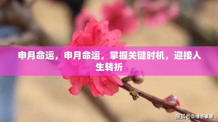 掌握申月命运关键时机,迎接人生转折点