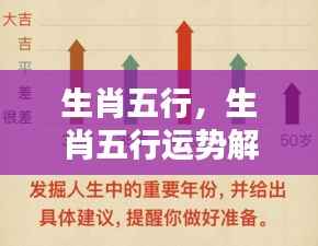 生肖五行运势解析,洞悉未来,把握人生机遇的关键