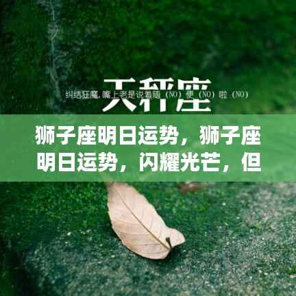 漫天飞舞 第7页