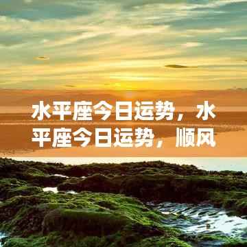 水平座今日运势详解,顺风顺水,机遇把握之道
