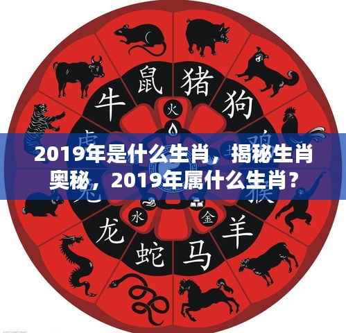 揭秘生肖奥秘,2019年属猪的奥秘与特点解析
