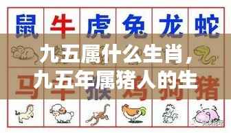 九五年属猪的生肖运势揭秘,命运之星的光芒探寻
