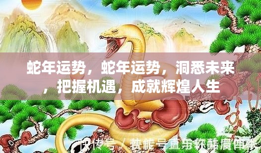 蛇年运势展望,洞悉未来,把握机遇,成就辉煌人生之路