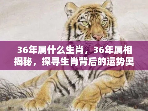 揭秘生肖奥秘,探寻属相运势之秘,揭秘生肖属相背后的运势奥秘(针对属相为鼠的生肖)