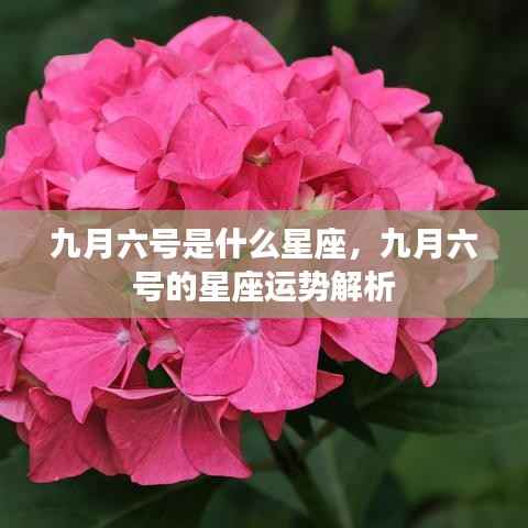九月六号星座运势解析,探寻属于你的星座运势秘密