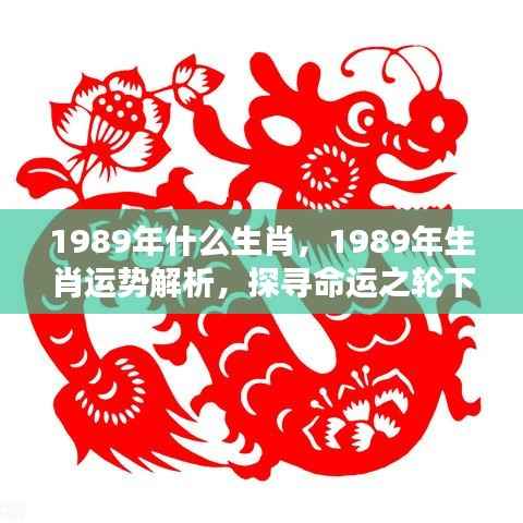 揭秘生肖命运之轮,1989年属蛇人的机遇与挑战解析