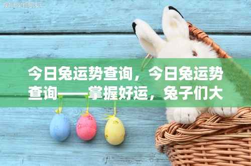 今日兔运势查询,大展宏图,掌握好运!