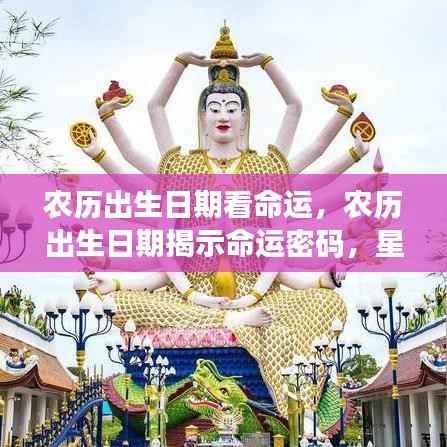农历出生日期揭示命运密码,星象与人生轨迹的深层联系