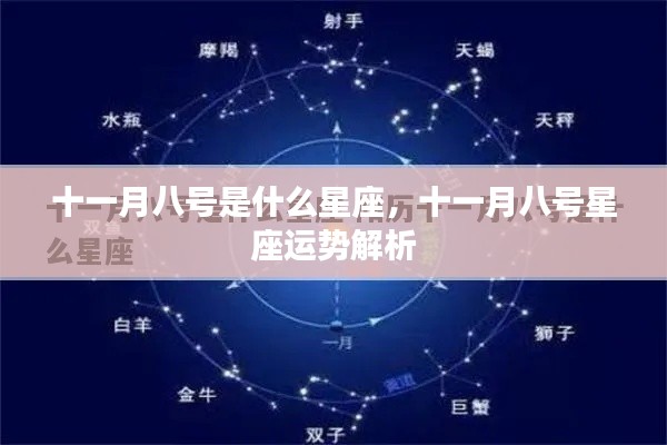 十一月八号星座运势解析及特点概述