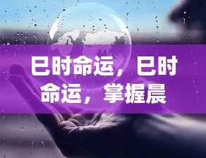 掌握巳时命运之奥秘,揭秘未来走向,迎接晨光之光韵