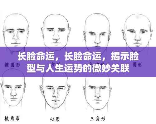 长脸命运,长脸命运,揭示脸型与人生运势的微妙关联