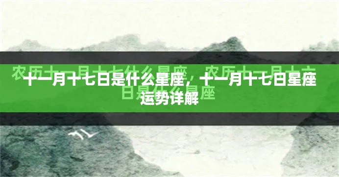 十一月十七日星座运势详解,探寻星座秘密,洞悉未来运势