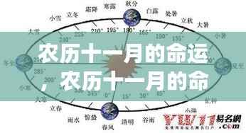 农历十一月命运解析,星象指引下的生命轨迹探索