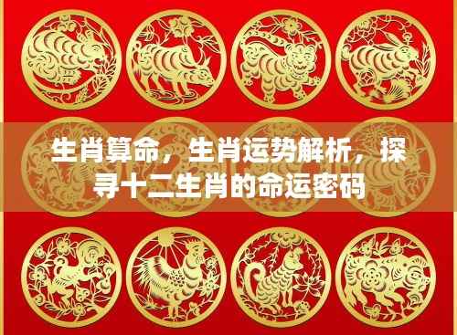 生肖运势大解密,探寻十二生肖命运密码
