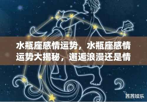 水瓶座感情运势揭秘,浪漫邂逅还是情感波折?