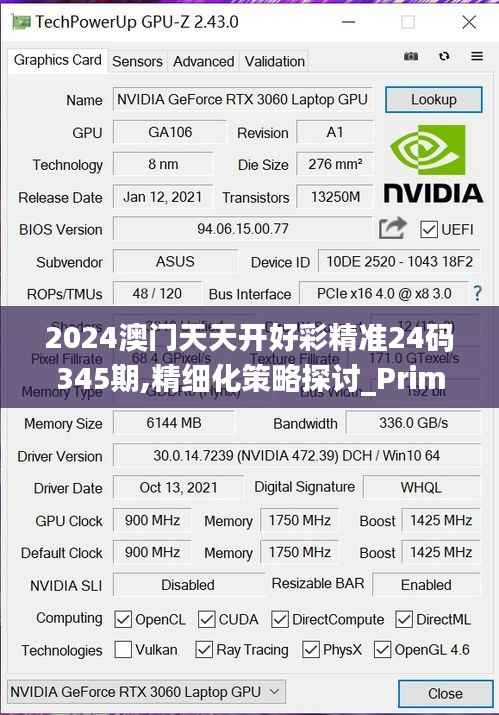 2024澳门天天开好彩精准24码345期,精细化策略探讨_Prime4.242