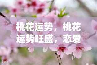 桃花运势旺盛,恋爱机遇接连不断