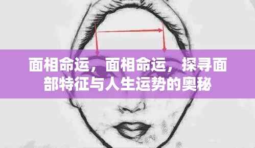 面相命运揭秘，探寻面部特征与人生运势的奥秘联系