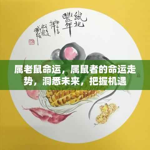 属鼠命运解析,洞悉未来走势,把握机遇挑战