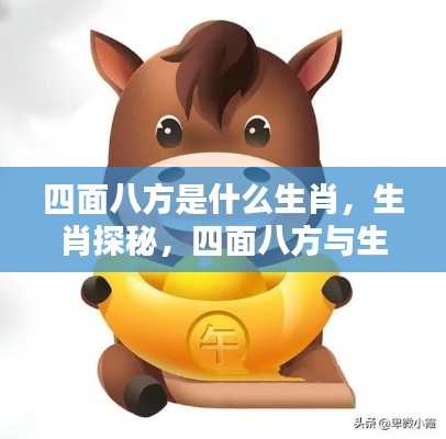 生肖探秘,揭秘四面八方与生肖的奇妙缘分