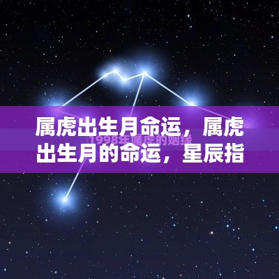 属虎出生月的命运,星辰指引下的独特人生轨迹探索
