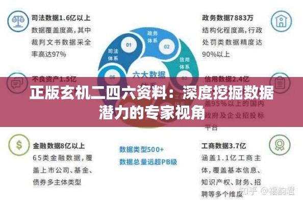 正版玄机二四六资料:深度挖掘数据潜力的专家视角