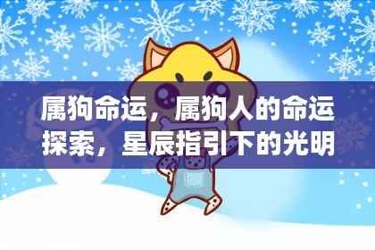 属狗人的命运探索,星辰指引下的光明之路
