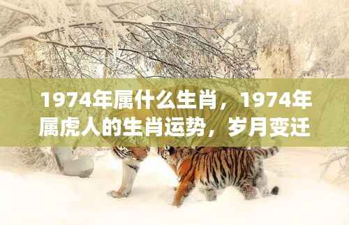 岁月变迁中的独特魅力与机遇,揭秘1974年属虎人的生肖运势与生肖魅力