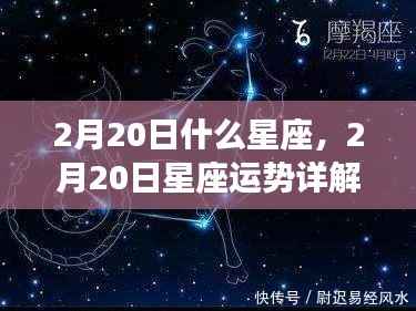 揭秘双鱼座,情感与事业走向的星座运势详解(2月20日)