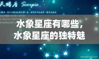 水象星座揭秘,独特魅力与个性丰富的星座特征探索
