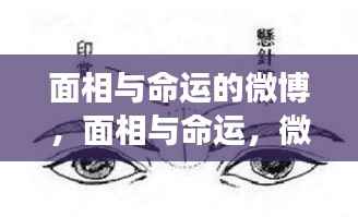微博热议面相与命运,星座运势的新探索