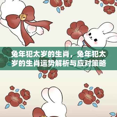兔年犯太岁生肖运势解析及应对策略,生肖运势详解与应对建议