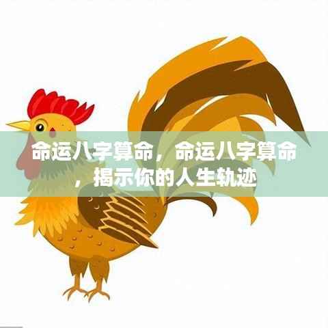 贵冠履轻头足 第6页