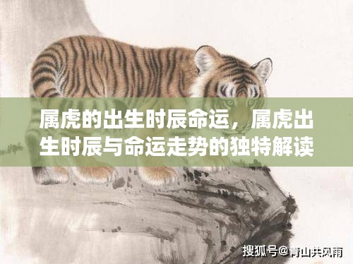 属虎出生时辰与命运走势的深入解读