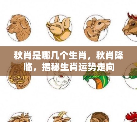秋肖降临,揭秘生肖运势走向与特点解析