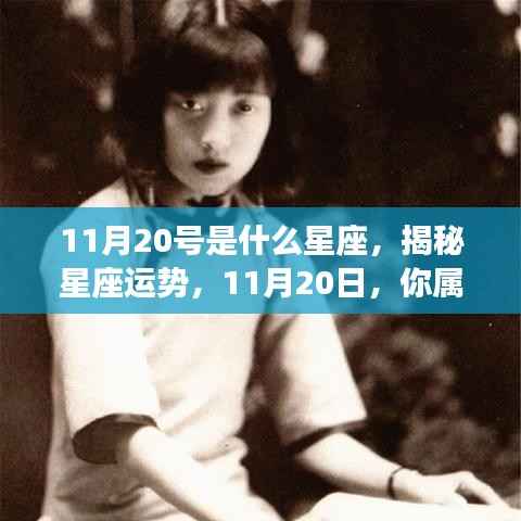 揭秘11月20日的星座运势与特点,属于你的星座运势解析
