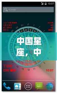 中国星座运势解析,探寻星宿奥秘,洞悉未来走向