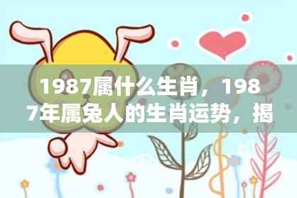 揭秘生肖兔,1987年属兔人的命运轨迹与人生起伏解析