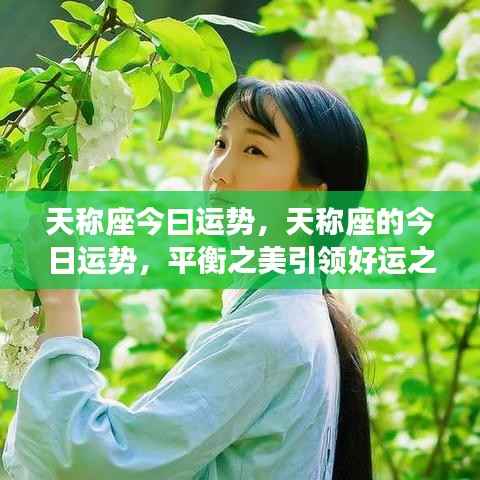 天称座的今日运势揭秘，平衡之美照亮好运之光