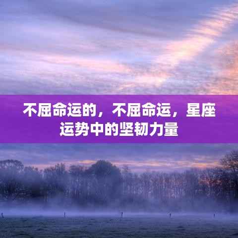 星座运势中的坚韧力量,不屈命运的闪耀光芒