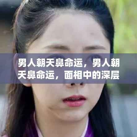 男人朝天鼻的面相解读,命运与人生轨迹的微妙关联探索