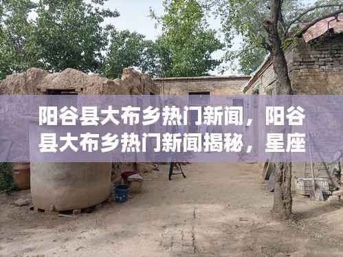 阳谷县大布乡热门新闻探秘，星座运势与乡村发展的交融