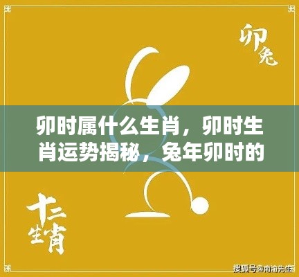 卯时生肖揭秘与运势展望,兔年卯时的独特魅力与运势走向解析