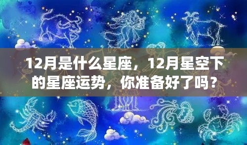 12月星座运势揭秘,星空下的星座运势指南