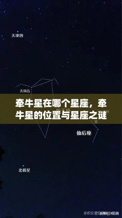 探寻夜空中最亮的指引之星,牵牛星的位置与星座之谜解析