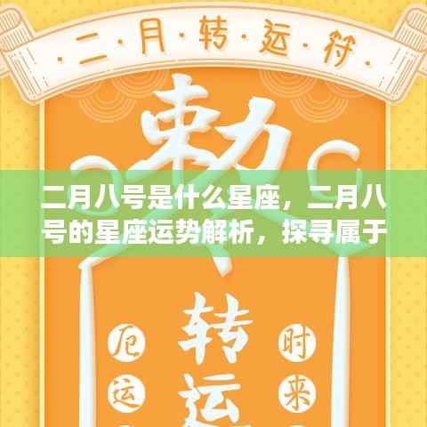 二月八号的星座运势解析与探寻个人星座秘密